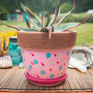 May include: A pink ceramic plant pot with a textured brown rim and a matching dark pink saucer. The pot features a scattered pattern of small teal and red paint splatters. A variegated agave plant with green and red-edged leaves sits inside.