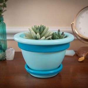 May include: A light blue ceramic planter with a turquoise band and matching saucer, holding a succulent plant. The planter is on a wooden surface, with a vintage clock and a decorative jar in the background.