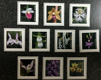 Orchids 2020 Stamps - Perfect for Collections, Invitations, Weddings, Marketing Strategies, and Beyond!