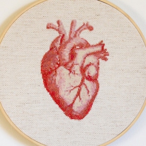 May include: A red anatomical heart embroidered on a white canvas, framed in a wooden hoop.