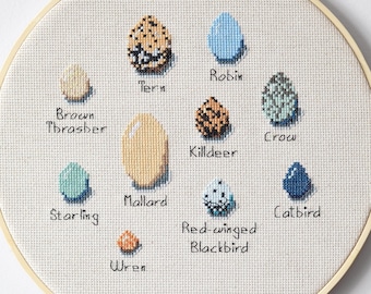 Variedades de huevos de pájaro - Patrón de punto de cruz