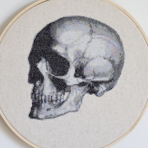 Anatomical Skull Cross Stitch Pattern