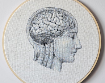 Patrón de punto de cruz del cerebro anatómico