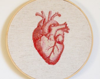 Anatomical Heart Cross Stitch Pattern