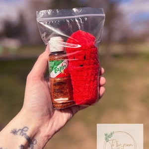 Chamoy pickles, chamoy candy, chamoy pickle plushie