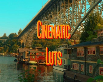 5 Classic Retro Cinematic LUTS for Video, Presets for Video, Presets for Final Cut Pro, LUTS for Final Cut Pro,Premiere Pro, Davinci Resolve