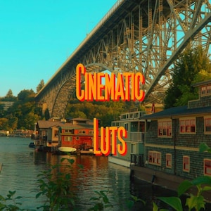PLEASE Read Description: 5 Classic Retro LUTS for Video, Presets for Video, Presets for Final Cut Pro, LUTS for Final Cut Pro,Premiere Pro