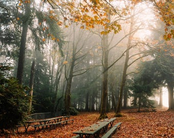Tacoma Point Defiance Autumn Foggy Photo / Tacoma Photo Print / Tacoma Photography / Seattle Photography / Autumn Photo Art / Photo Print
