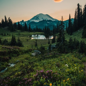 Mt Rainier Photography Print / Mt Rainier Wall Art / Landscape Photography / Washington State / Christmas Gift / Photo Print / Poster Print