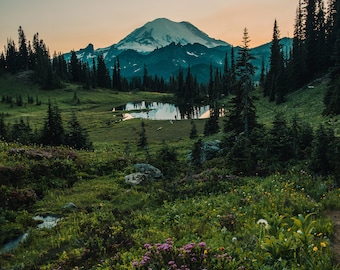 Mt Rainier Photography Print / Mt Rainier Wall Art / Landscape Photography / Washington State / Christmas Gift / Photo Print / Poster Print