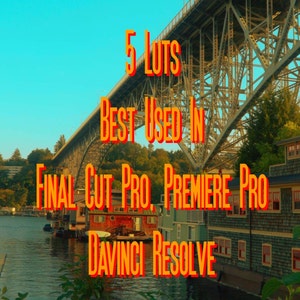 May include: A scenic view of a bridge over a waterway with houses on the shore. The text "5 LUTS BEST USED IN FINAL CUT PRO, PREMIERE PRO, DAVINCI RESOLVE" is superimposed on the image.