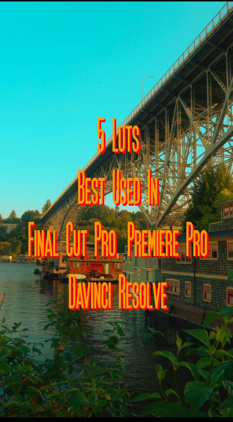 May include: A scenic view of a bridge over a waterway with houses on the shore. The text "5 LUTS BEST USED IN FINAL CUT PRO, PREMIERE PRO, DAVINCI RESOLVE" is superimposed on the image.