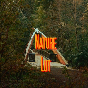 May include: A wooden bridge in a forest with the text "NATURE LUT" in orange and red letters.