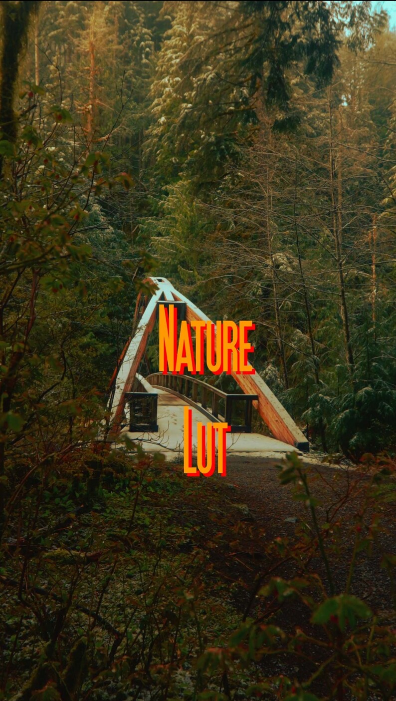 May include: A wooden bridge in a forest with the text "NATURE LUT" in orange and red letters.
