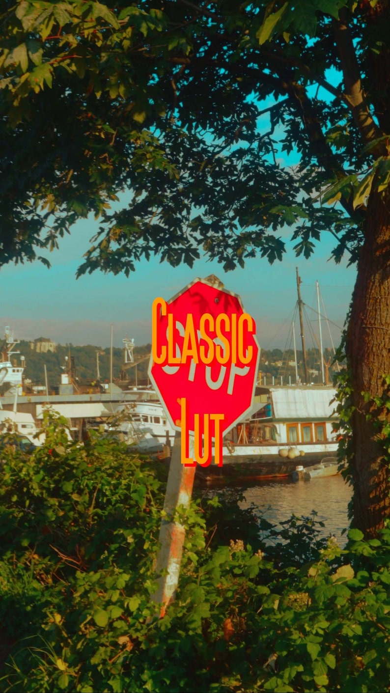 May include: A red stop sign with the words "CLASSIC LUT" written in orange letters. The sign is mounted on a white pole and is partially obscured by green foliage.
