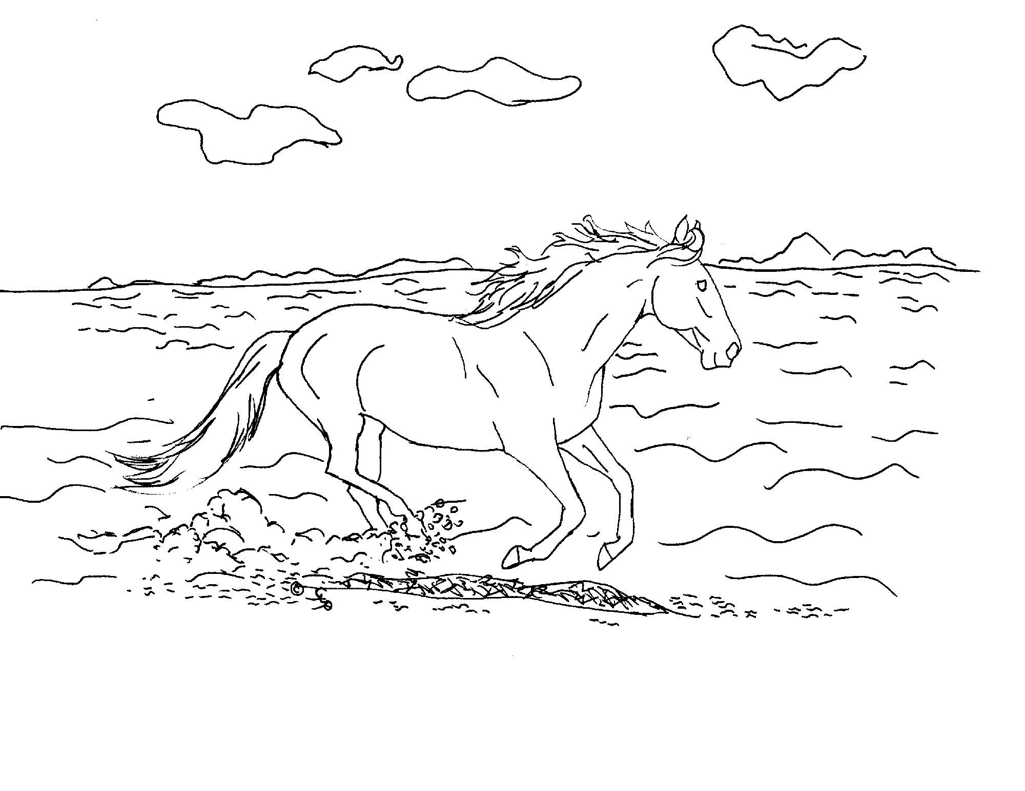 Horse Running On Beach Ocean Surf Line Art Digital Download Etsy Horse Running On Beach Ocean Surf Line Art Digital Download Etsy