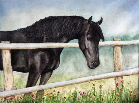 Original Horse Painting Black Horse Beauty Watercolor Hand Etsy