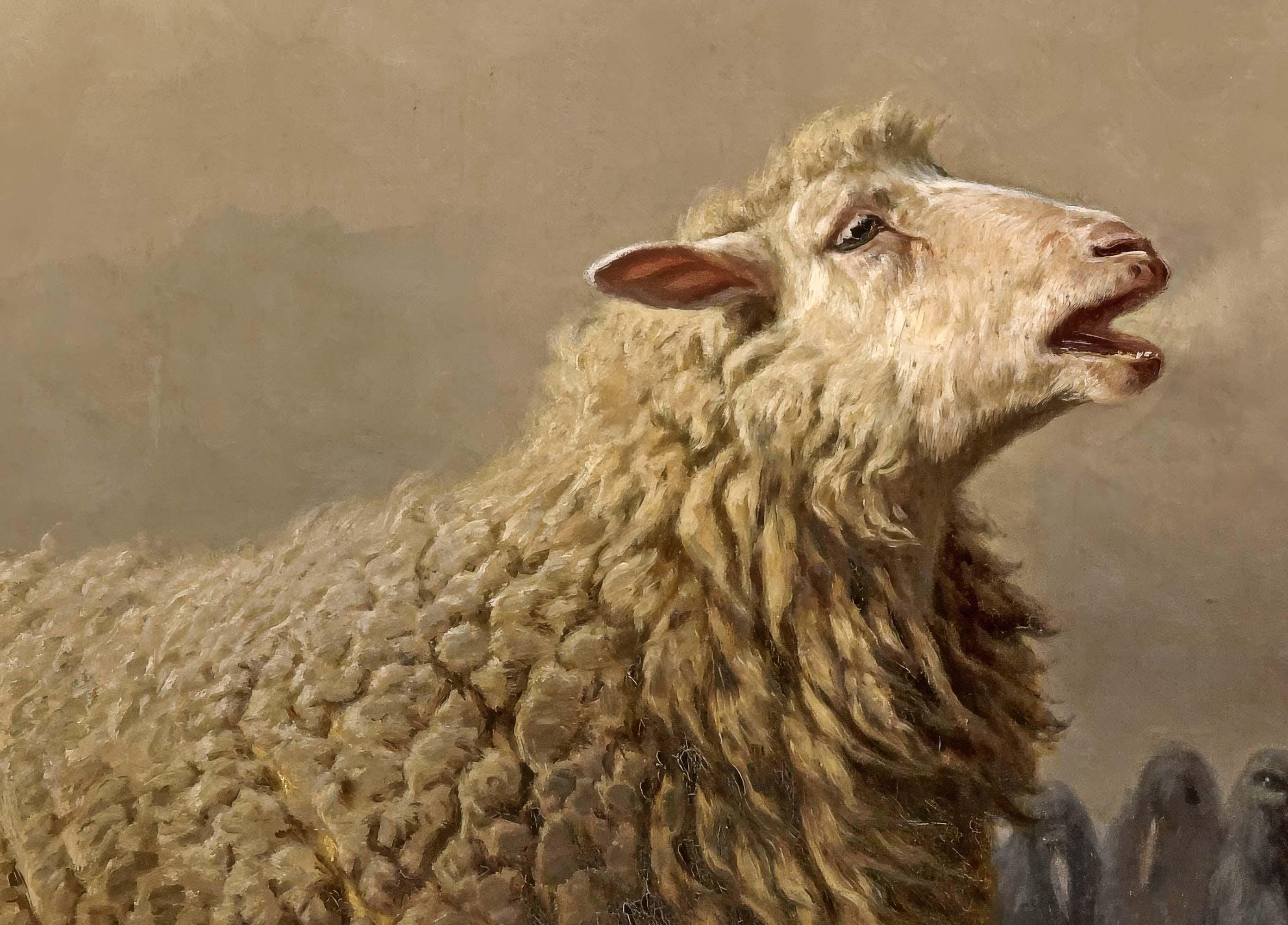 作家　羊 世界一かわいい羊」赤ちゃん誕生、21日から公開 滋賀の観光庭園 | 毎日新聞