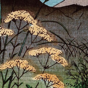 May include: A Japanese woodblock print depicting a landscape with a mountain in the background and yellow flowers in the foreground. The flowers are delicate and have a soft, yellow color. The mountain is a dark gray color and is partially obscured by the flowers. The print is done in a traditional Japanese style, with a focus on detail and realism.