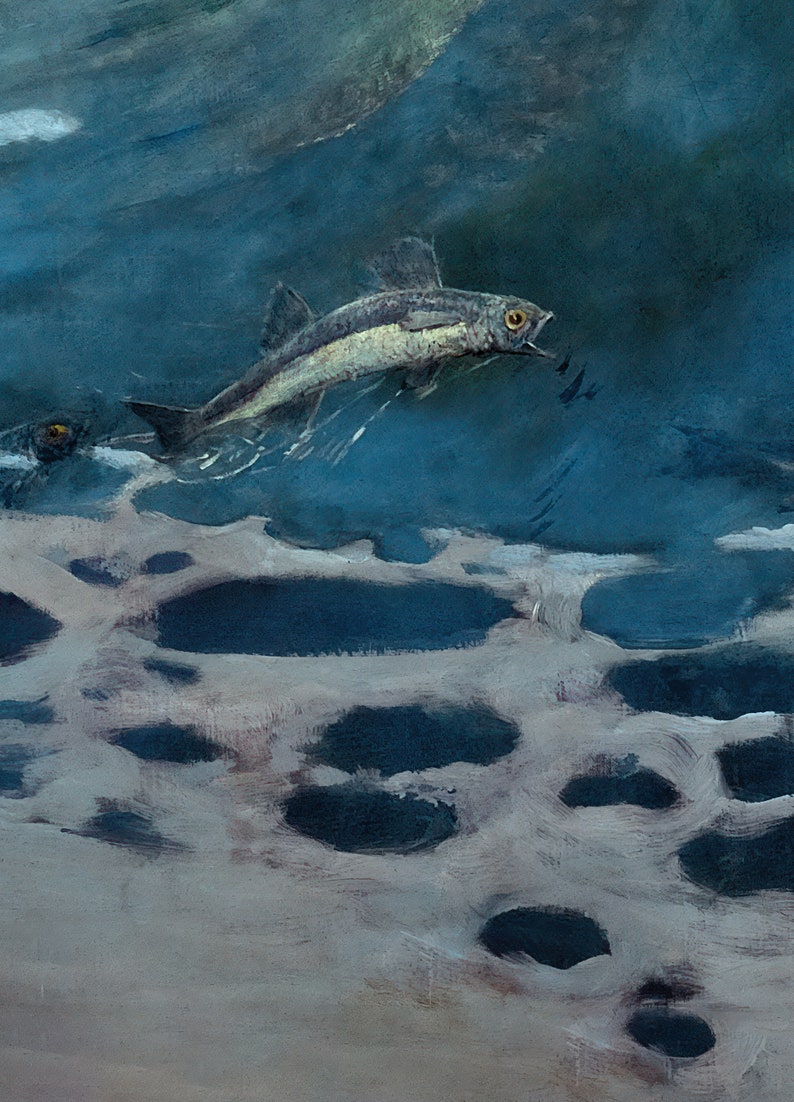 May include: A painting of a fish swimming in the ocean. The fish is silver and has a dark back. The water is a deep blue colour and there are white waves in the background.
