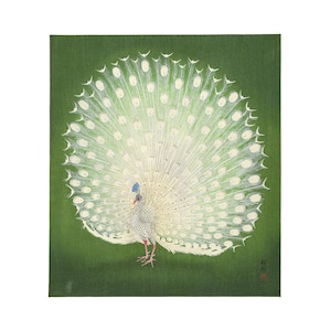 Ohara Koson Peacock Print: Vintage Japanese Botanical Art (Unframed)