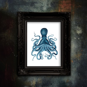 Könnte beinhalten: Gerahmter Druck mit einer detaillierten blauen Tintenfisch-Illustration. Der Tintenfisch ist vor einem weißen Hintergrund zentriert und von einem schwarzen, verzierten Rahmen umgeben. Das Kunstwerk befindet sich an einer strukturierten, dunkelfarbigen Wand.