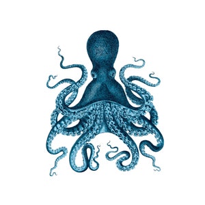 Blue Octopus Print: Vintage Style Bathroom Wall Art
