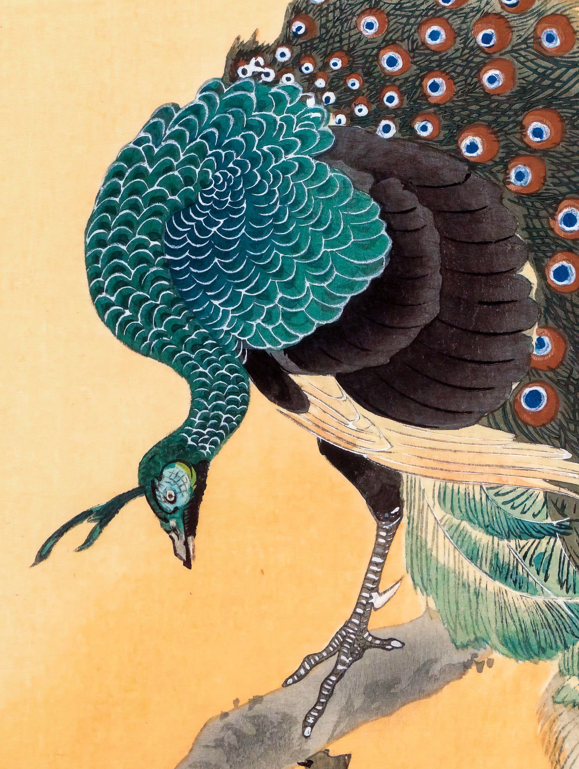小原古邨「桜に孔雀」。ヴィンテージの日本版画。複製。額なし - Etsy 日本