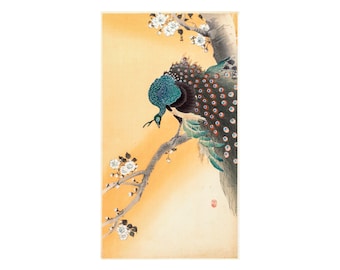 Ohara Koson Peacock in Cherry Tree. Vintage Japanese Print. Reproduction. Unframed
