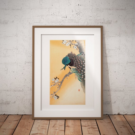 小原古邨「桜に孔雀」。ヴィンテージの日本版画。複製。額なし - Etsy 日本