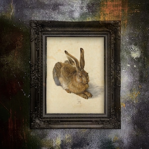 Stampa artistica di Albrecht Dürer Young Hare. Riproduzione artistica per amanti della natura. Stampa su carta opaca