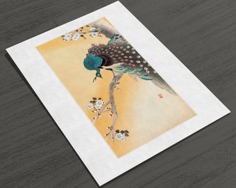 小原古邨「桜に孔雀」。ヴィンテージの日本版画。複製。額なし - Etsy 日本