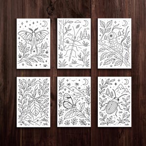 Op de afbeelding: Set van zes zwart-wit insectenkunstprints. Elke print toont een ander insect, waaronder een mot, een libelle, een rups, een blad insect, een vlinder en een kever, allemaal omringd door gedetailleerde botanische illustraties. Gepresenteerd op een donker houten oppervlak.