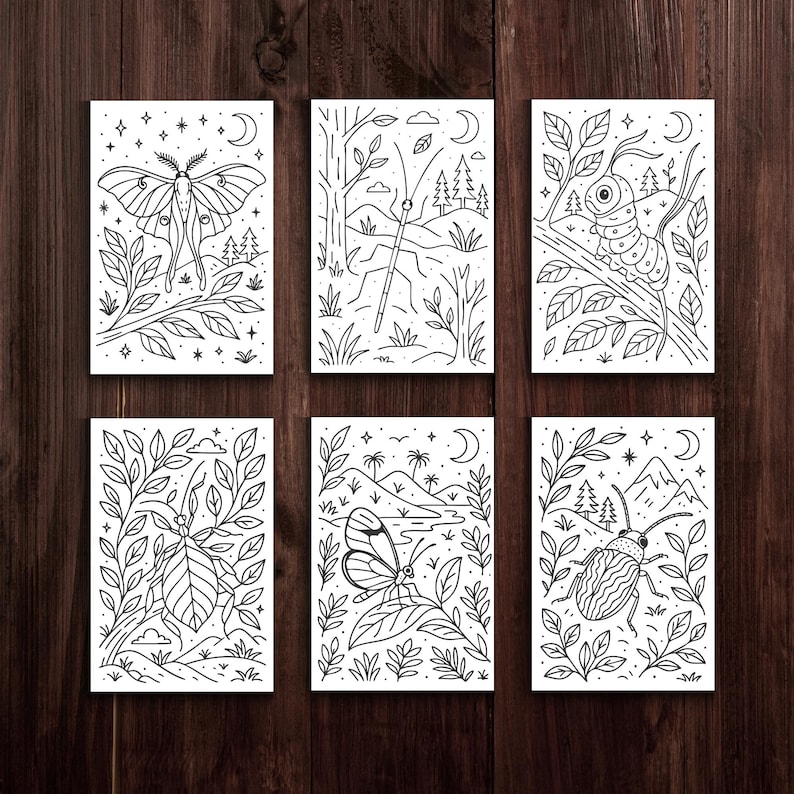 Op de afbeelding: Set van zes zwart-wit insectenkunstprints. Elke print toont een ander insect, waaronder een mot, een libelle, een rups, een blad insect, een vlinder en een kever, allemaal omringd door gedetailleerde botanische illustraties. Gepresenteerd op een donker houten oppervlak.