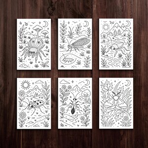 Op de afbeelding: Zes zwart-wit insecten illustraties op rechthoekige kaarten. Elke kaart toont een ander insect, zoals een spin, kever en mot, met een gedetailleerde lijntekening tegen een natuurlijke achtergrond met bomen, bergen en de zon of maan.
