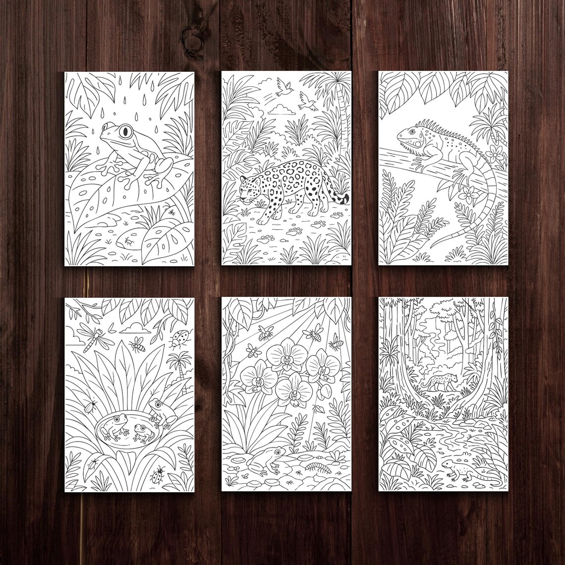 Libro para colorear de la selva tropical: Animales y plantas de la ...
