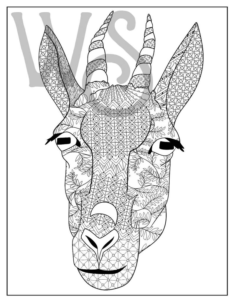 Goat Face Coloring Page 3 Pack | Etsy