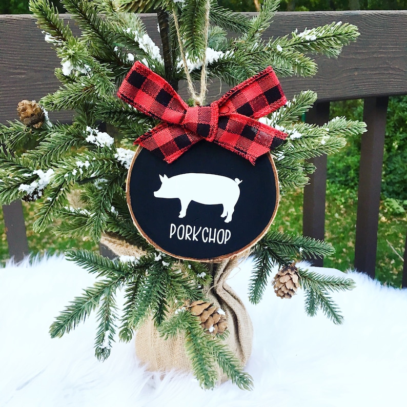 Pig ornament Pet ornament Pet pig ornament Pig gift Etsy