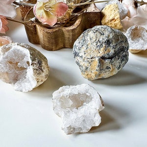 May include: Several geodes with rough, textured exteriors and crystalline interiors are displayed. The geodes vary in size and color, with exteriors in shades of gray, tan, and brown. The interiors are filled with sparkling white crystals.