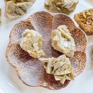 May include: A wooden, flower-shaped bowl with a dark brown, speckled pattern holds several raw selenite crystals. The crystals are a pale, translucent beige color and have a layered, crystalline structure. Other selenite pieces surround the bowl.