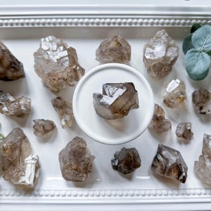 May include: A collection of raw, smoky quartz crystals in various sizes and shapes, arranged on a white, rectangular tray. The crystals have a translucent, brownish-gray hue and are displayed with a small, white, round dish. Greenery adds a natural touch.