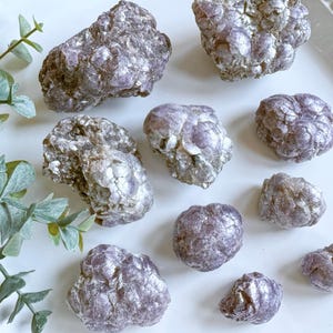 May include: A collection of raw lepidolite crystals in shades of purple and gray, with a shimmering, layered texture. The crystals are arranged on a white surface, with sprigs of green foliage in the corner.