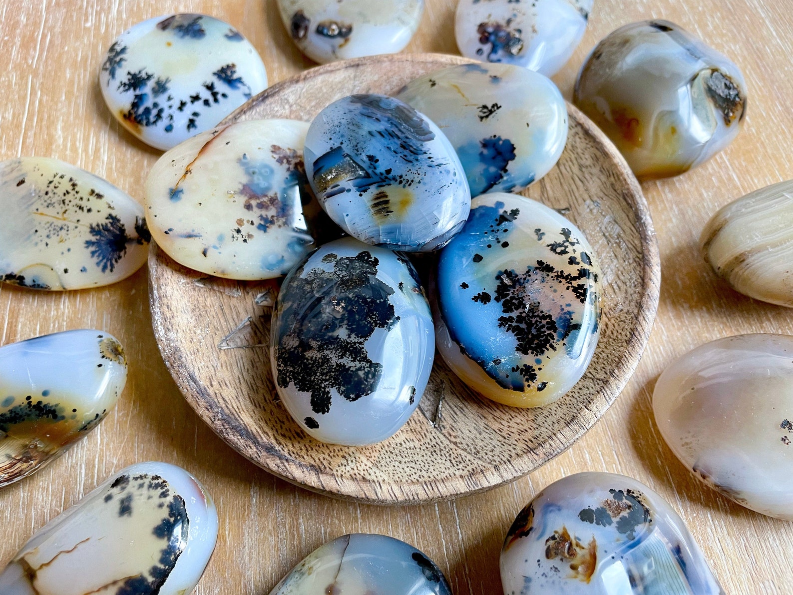 Dendritic agate palm stones with tree-like inclusions, offering grounding energy for Gemini’s restless mind.