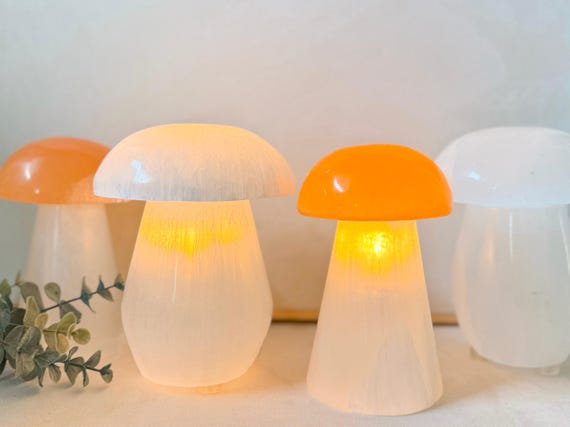 Selenite Mushroom Lamp