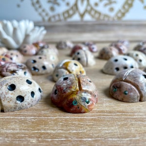 Soapstone Ladybug