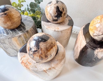 Puede incluir: Una colección de esferas y pedestales de madera petrificada. Las esferas tienen un aspecto pulido y veteado con tonos marrones, negros y beige. Los pedestales son de varias formas y tamaños, con un acabado de veta de madera natural. Decoración del hogar.