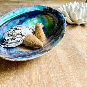May include: A white sage smudge stick and two brown incense cones are placed in a blue and green abalone shell. The shell is on a light brown wooden surface.