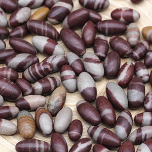 Shiva Lingam Barrel Tumbled Stone