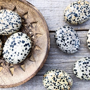 Dalmatian Jasper Palm Stone