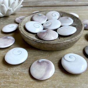 May include: A collection of polished oval-shaped sea shells with a swirling pattern in shades of white, brown, and pink. The shells are arranged on a wooden surface.
